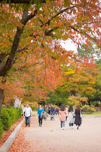 秋の大阪城公園周辺を観光散策 — ストック写真
