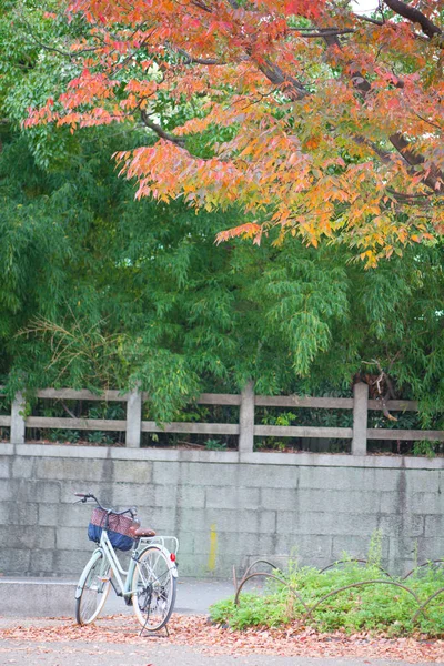 Vélo dans le parc du château d'Osaka avec en automne à Osaka, Japon — Photo