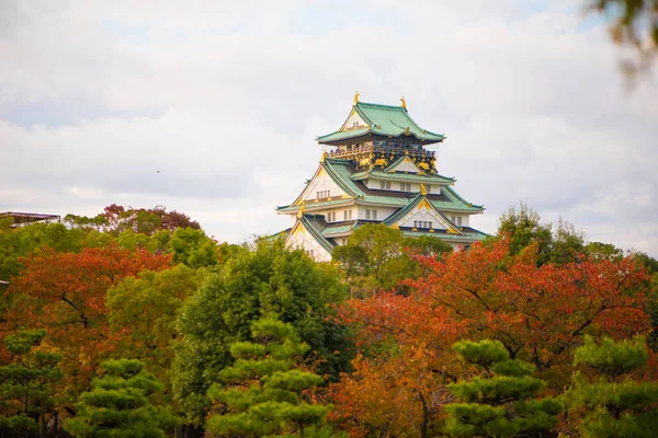 Japonya 'nın Osaka şehrinde sonbahar mevsiminde Osaka Kalesi