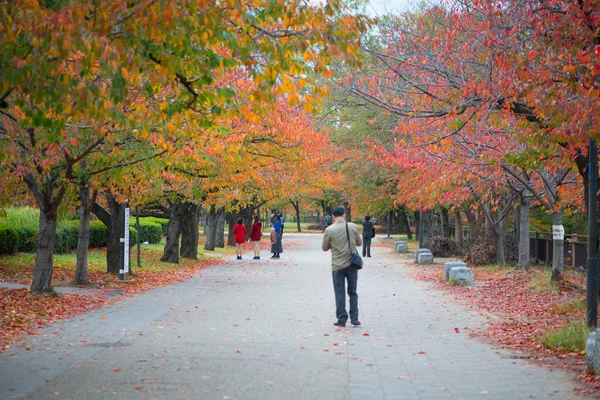 Туристическая прогулка по замковому парку Осаки осенью в Осаке, Япония — стоковое фото