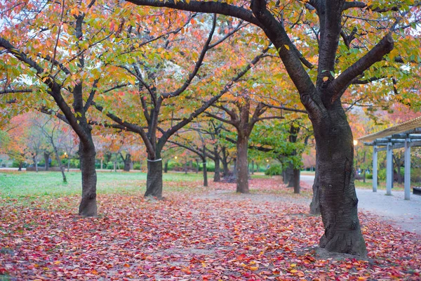 Osaka Castle Park with in autumn season at Osaka, Japan — стоковое фото
