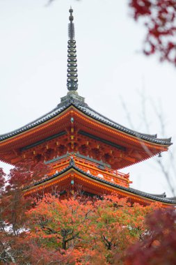 Japonya, Kyoto 'daki Kiyomizu-dera Tapınağı' ndaki güzel Pagoda.