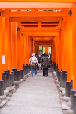  Turist yürüyüş ve Fushimi Inari-taisha türbede Kırmızı torii görmek