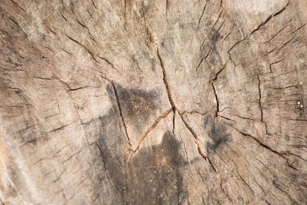 Geschlossen alten Holz Textur Hintergrund — Stockfoto
