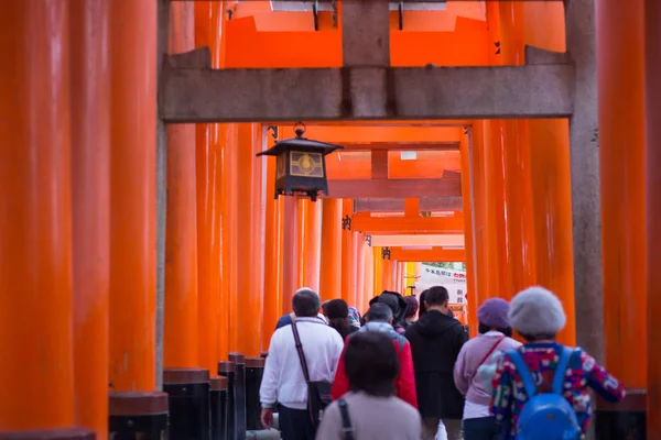 Paseo turístico y ver Torii rojo en el santuario de Fushimi Inari-taisha —  Fotos de Stock