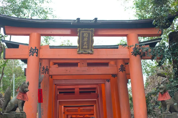 Red torii στο ναό Φουσίμι Ινάρι-Ταϊσα — Φωτογραφία Αρχείου