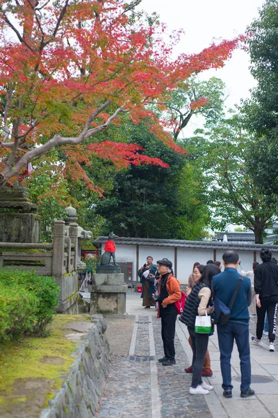 Paseo turístico y ver hojas de arce rojo en otoño en el santuario de Fushimi Inari-taisha —  Fotos de Stock