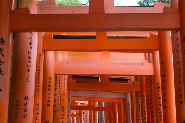 Червоний torii на острові Фуінарі-тайша Shrine — стокове фото