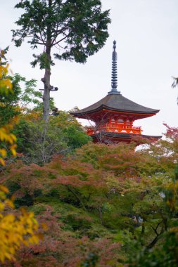 Japonya, Kyoto 'daki Kiyomizu-dera Tapınağı' ndaki güzel Pagoda.