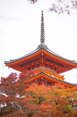 Japonya, Kyoto 'daki Kiyomizu-dera Tapınağı' ndaki güzel Pagoda.