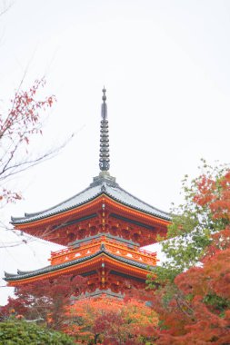 Kiyomizu-dera Tapınağı'nda güzel Pagoda