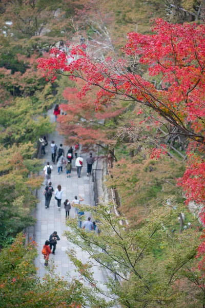 カイの秋の清水寺周辺を観光客が散歩 — ストック写真