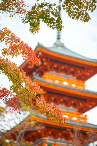 Hermosa pagoda en Kiyomizu templo dera en Kyoto, Japón — Foto de Stock