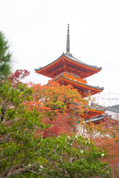 일본 교토에 있는 기요 미즈데라 사원의 아름다운 파고 다 — 스톡 사진
