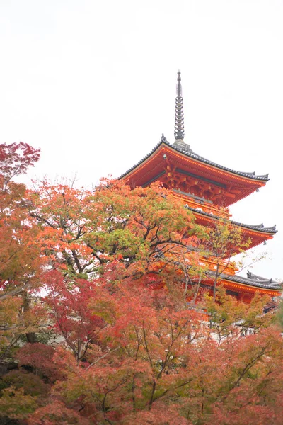 Wunderschöne Pagode im Kiyomizu-dera-Tempel in Kyoto, Japan — Stockfoto