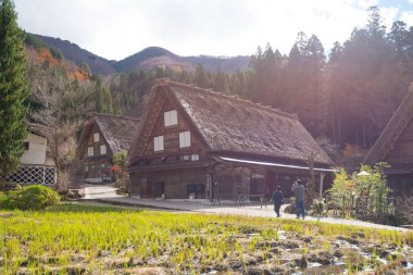 Shirakawa-git evde geleneksel gassho-zukuri