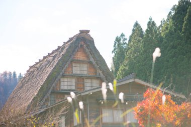Shirakawa-go sonbahar sezonunda geleneksel gassho-zukuri ev