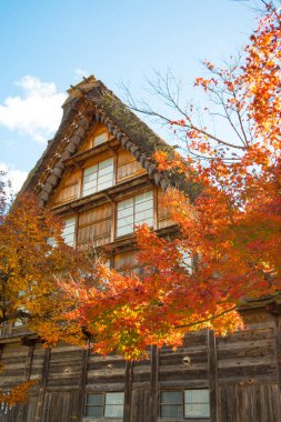 Shirakawa-go sonbahar sezonunda geleneksel gassho-zukuri ev