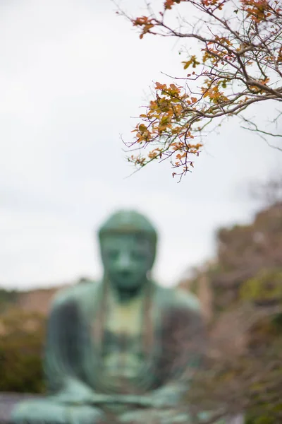 Blur Giant budda i czerwone liście lub Kamakura Daibutsu jest słynnym zabytkiem znajduje się w świątyni Kotoku-in w Kamakura, Japonia — Zdjęcie stockowe