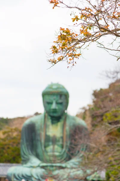 Blur Giant budda i czerwone liście lub Kamakura Daibutsu jest słynnym zabytkiem znajduje się w świątyni Kotoku-in w Kamakura, Japonia — Zdjęcie stockowe