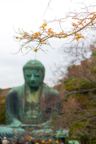 Blur Giant budda i czerwone liście lub Kamakura Daibutsu jest słynnym zabytkiem znajduje się w świątyni Kotoku-in w Kamakura, Japonia — Zdjęcie stockowe