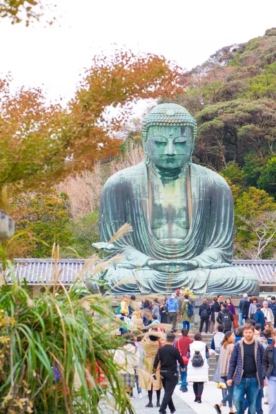 Kamakura Japán November 2018 Emberek Látogasson Kamakura Daibutsu Híres Mérföldkő — Stock Fotó