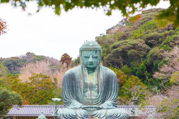 Buda gigante o Kamakura Daibutsu es el famoso punto de referencia ubicado — Foto de Stock