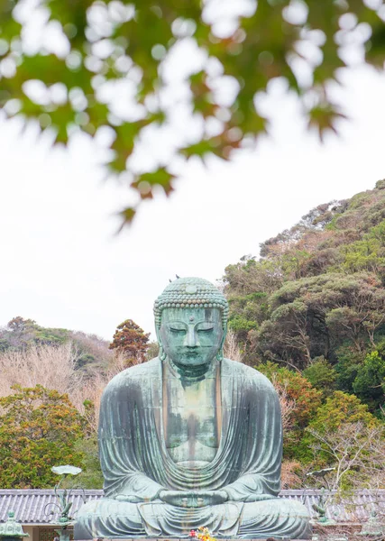 Óriás buddha vagy Kamakura Daibutsu a híres mérföldkő található — Stock Fotó