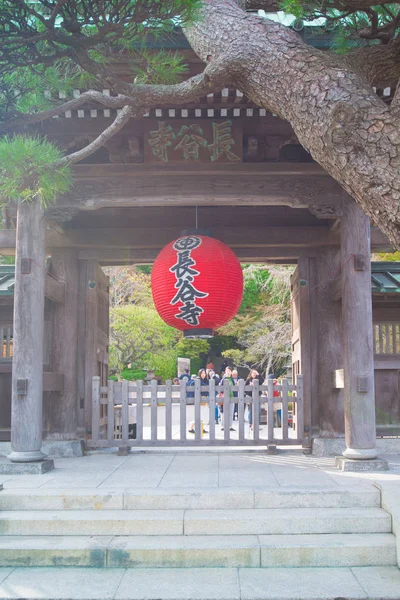 Traditionelle rote Laterne am Haupttor sanmon des Hase-dera Tempels oder Hase-kannon in Kamakura, Japan — Stockfoto