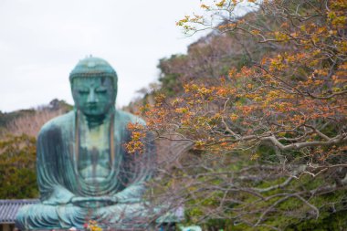 Kızıl izin ve bulanıklık Kamakura Daibutsu ünlü bir simgedir.