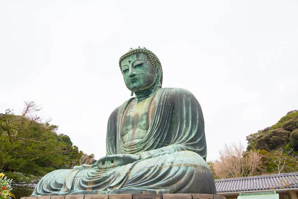 Giant buddha lub Kamakura Daibutsu jest słynnym zabytkiem znajduje się w świątyni Kotoku-in w Kamakura, Japonia — Zdjęcie stockowe