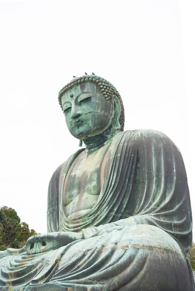 Giant buddha lub Kamakura Daibutsu jest słynnym zabytkiem znajduje się w świątyni Kotoku-in w Kamakura, Japonia — Zdjęcie stockowe