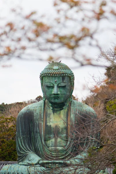 Giant budda lub Kamakura Daibutsu jest słynnym zabytkiem znajduje — Zdjęcie stockowe