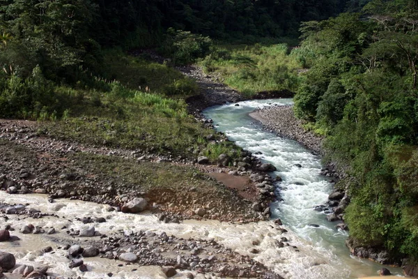 Yeşil nehir, Brown Nehri