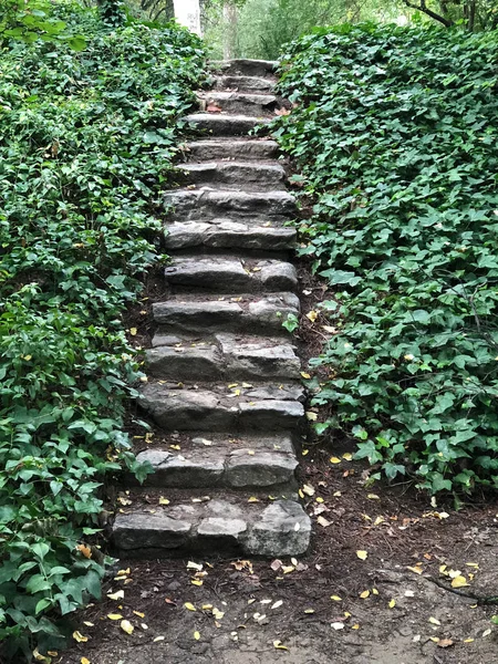 Красивая Лестница Куда — стоковое фото