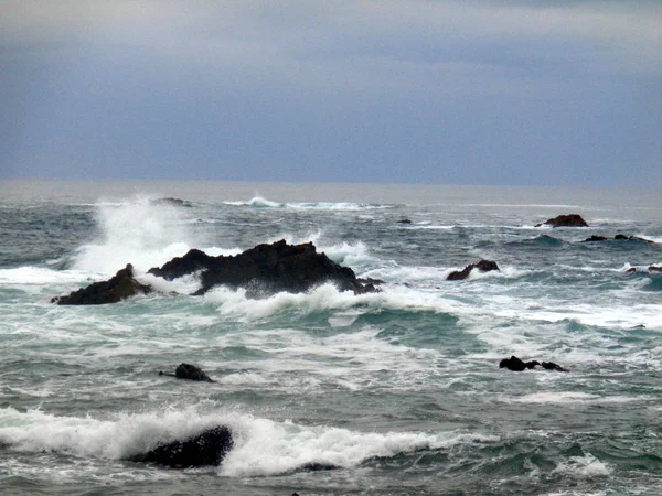 Şifreli deniz kıyısında
