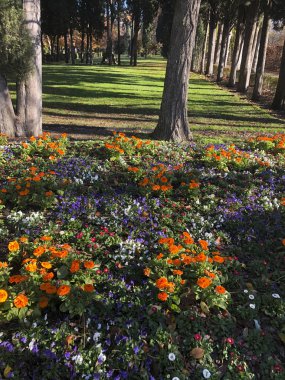 Madrid'da caprice Park yolu