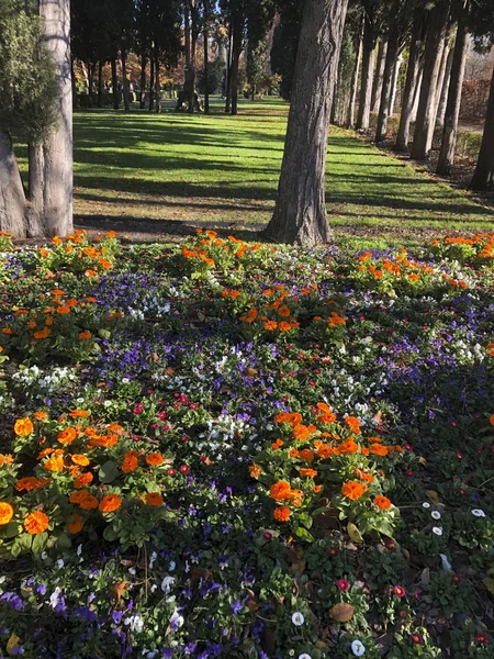 Madrid'da caprice Park yolu