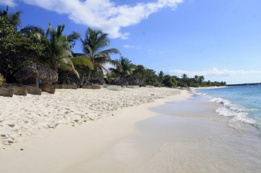 Tropik ada plaj beyaz kum ile