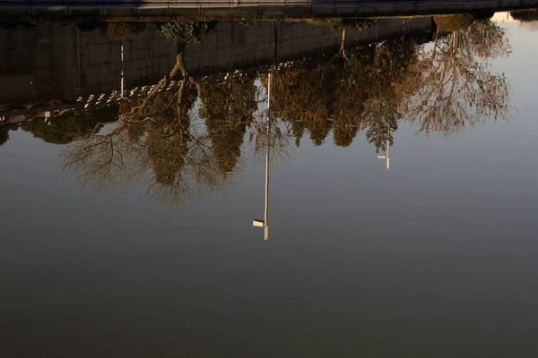 Dünya baş aşağı