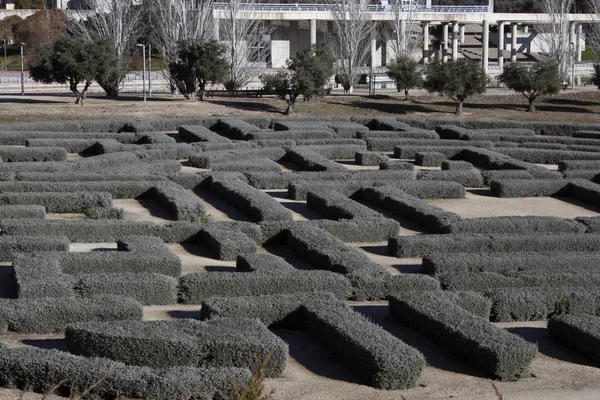 Parkta doğal labirent