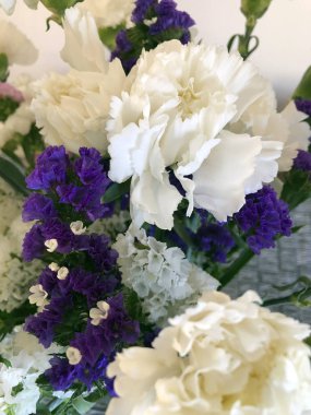 Mor ve Beyaz Çiçekler