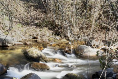 Brook içinde akan su