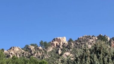 Dağın üstünden uçan açgözlü kuş