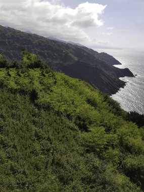 Kantabriya kıyısındaki yeşil kayalıklar