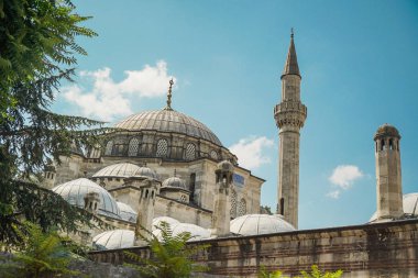Tarihi doku mükemmel sanat Sultan Ahmet Camii Istanbul/Türkiye