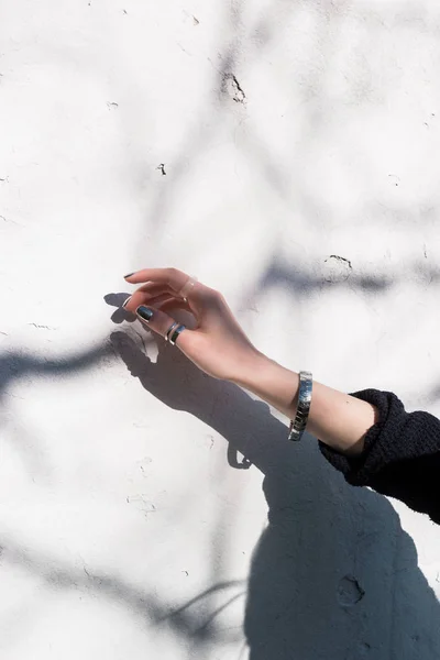 An abstract image of hand against the sun with shadow of a tree on white wall