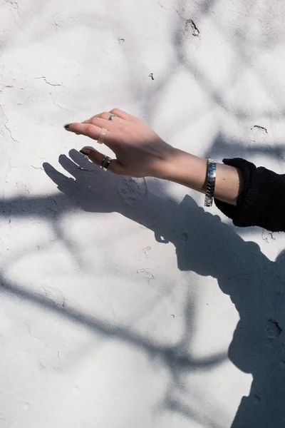 An abstract image of hand against the sun with shadow of a tree on white wall