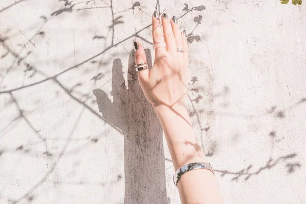 An abstract image of hand against the sun with shadow of a tree on white wall