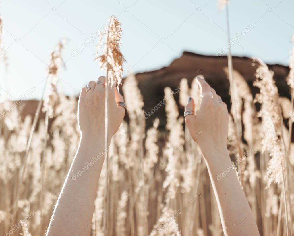 hands of the girl are lifted to the sky among yellow reeds against the background of the mountain and the blue sky